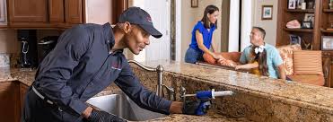 Best Real Estate Pest Inspections  in Genoa, AR